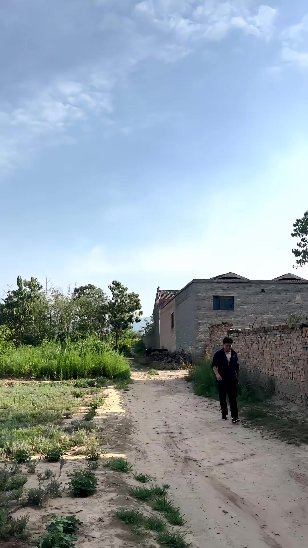 《向阳花》剧照