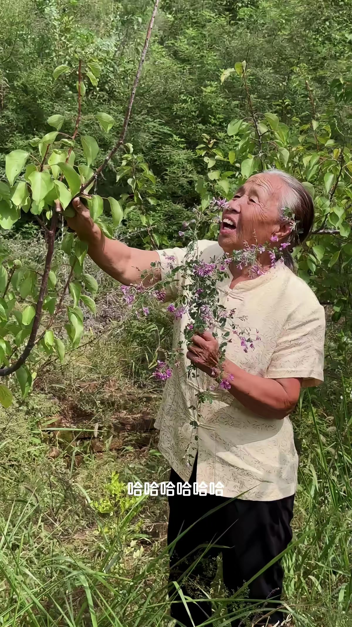 《南山怪談》劇照