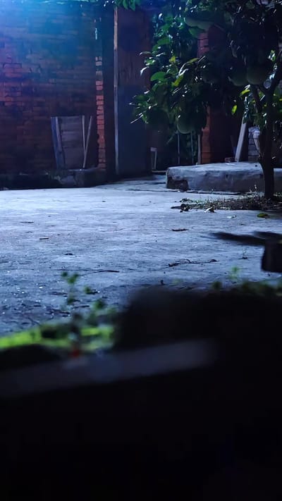 《诡村》剧照