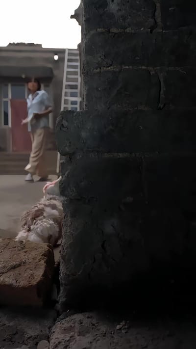 《白狐劫》劇照