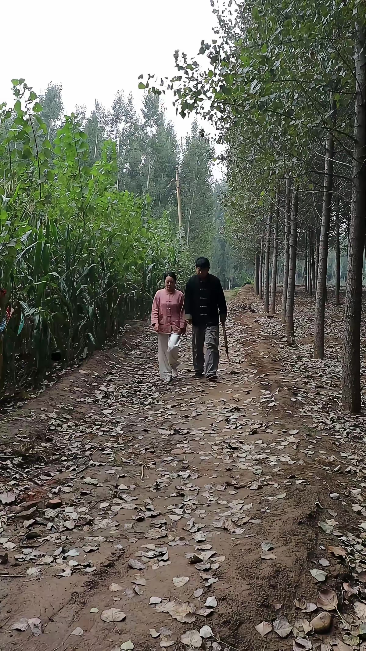 《蜜獾惊魂》剧照