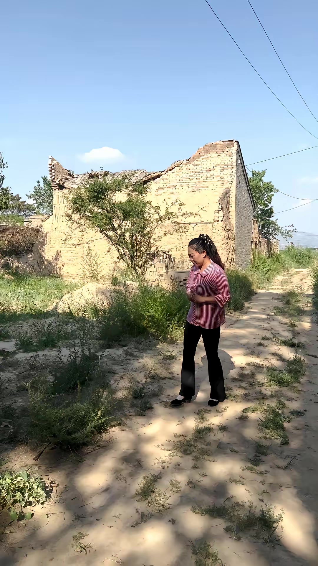 《向阳花》剧照