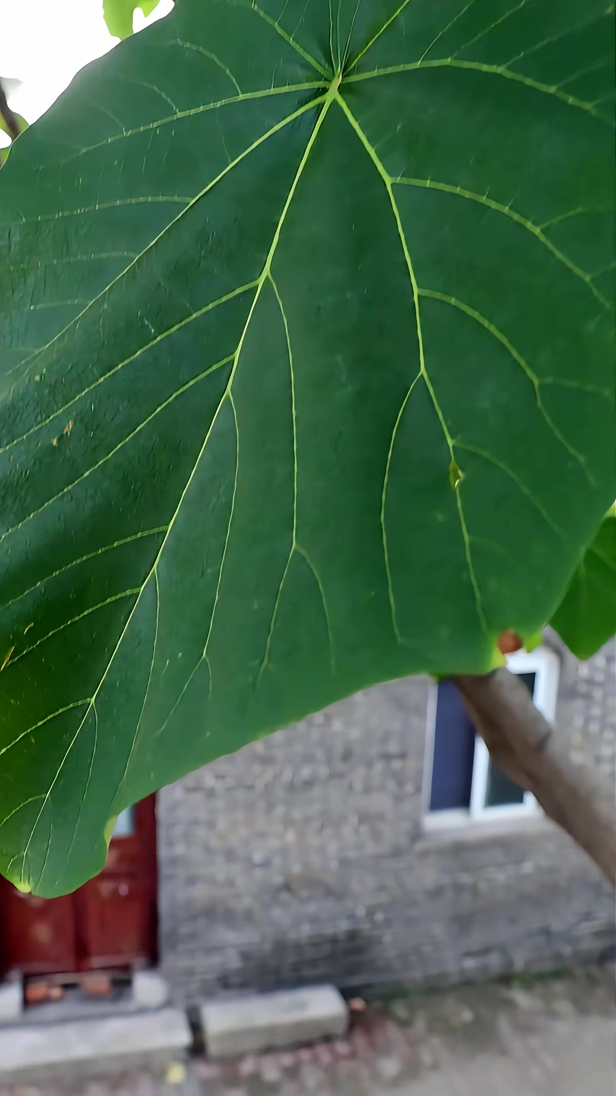 《面具惊魂》剧照
