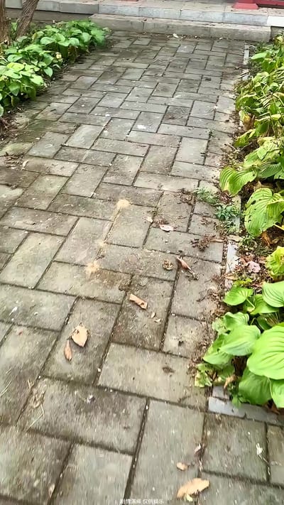 《廚神學院》劇照