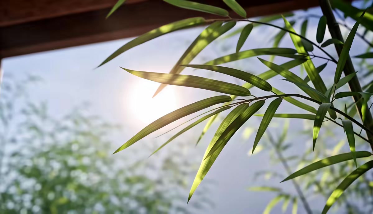 《拒绝内耗！穿书后我靠囤货苟成团宠了》剧照