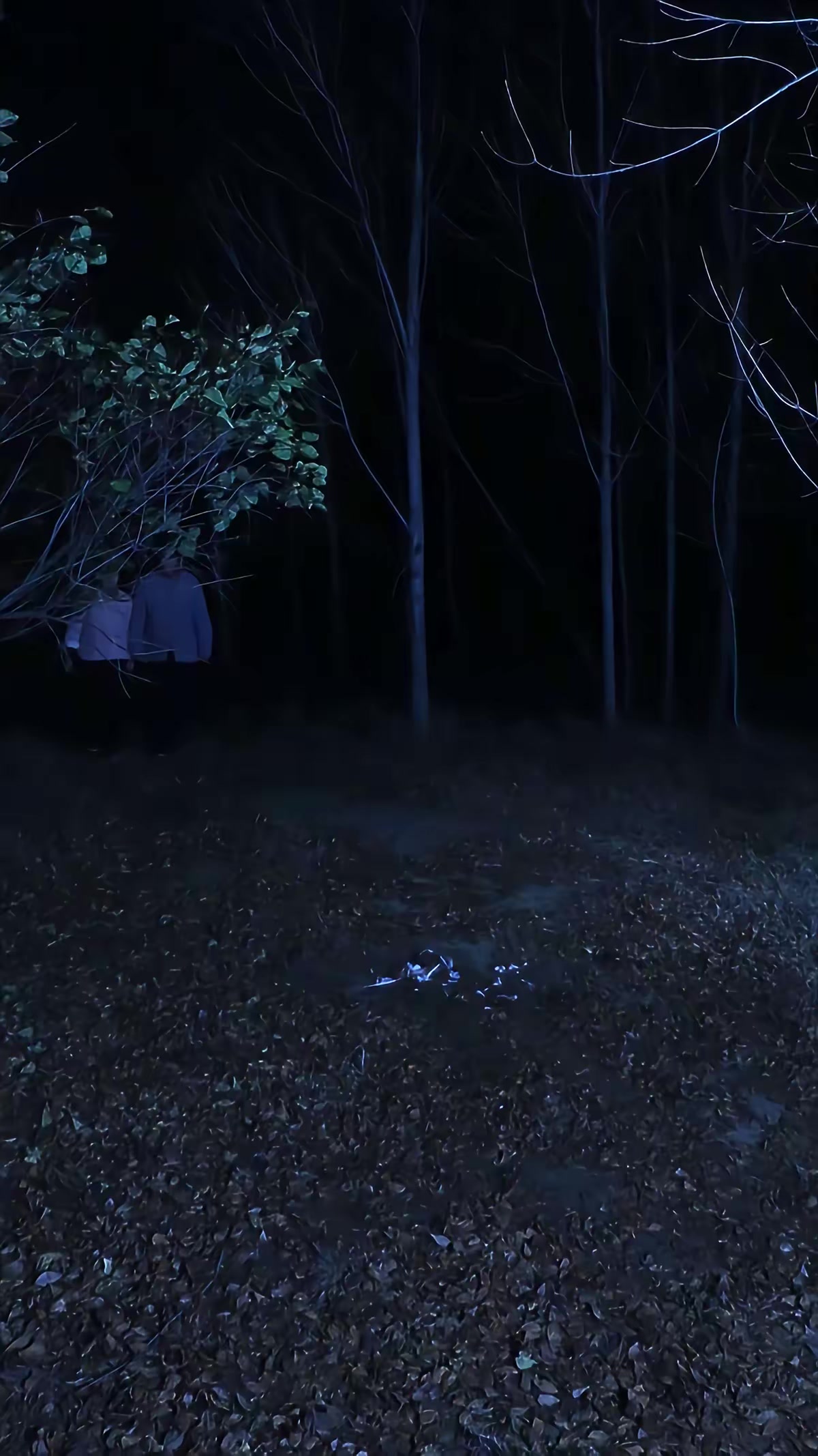 《血月詭鱔》劇照