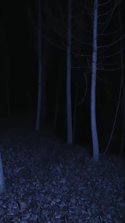 《血狼劫》劇照