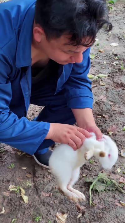 《兔怨》劇照