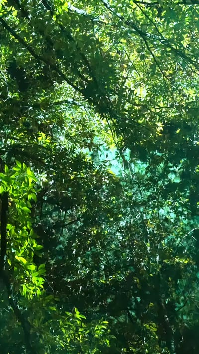 《引TA入墓》剧照