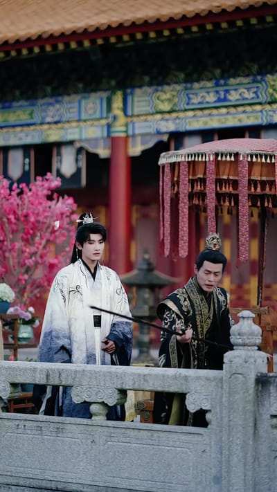 《帝婿无双》剧照