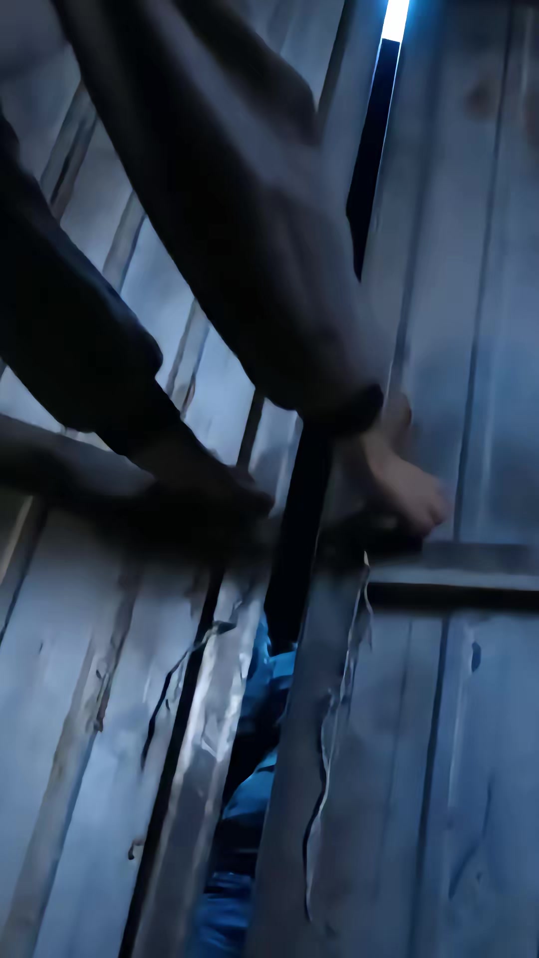 《人面熊危机》剧照