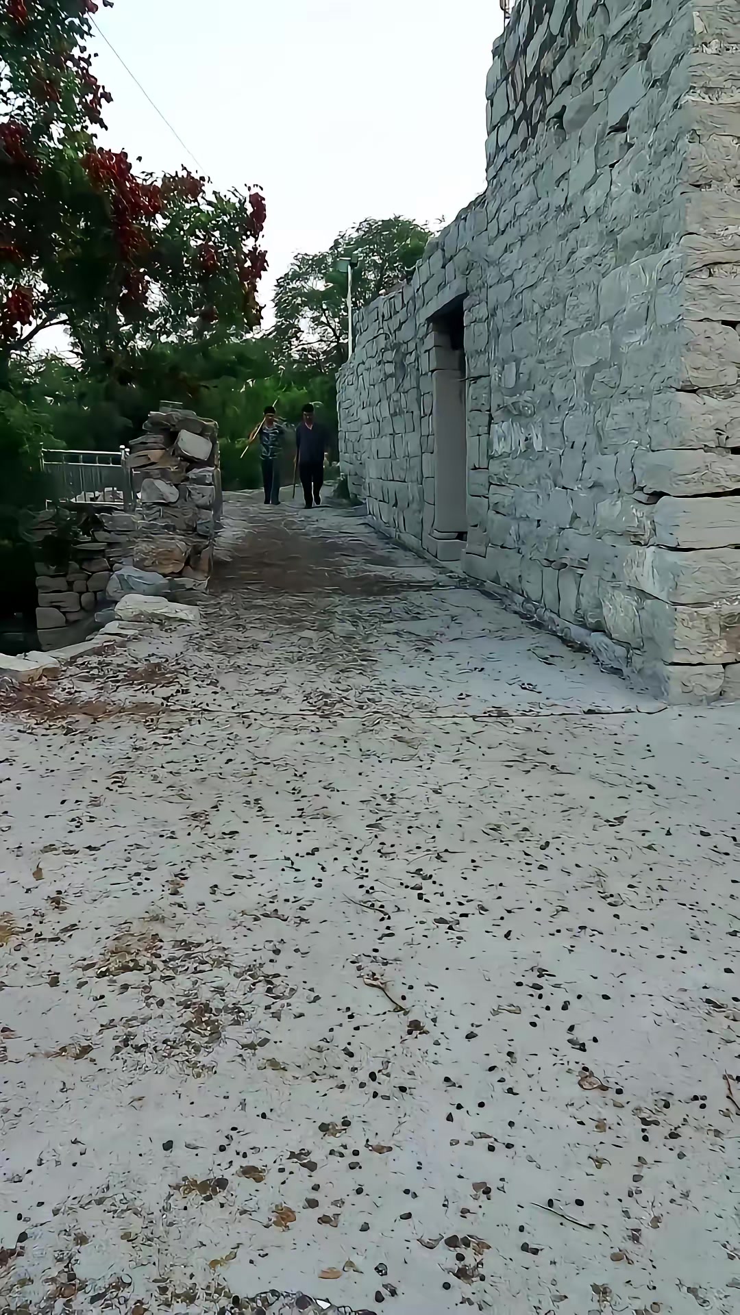 《兇狐》劇照