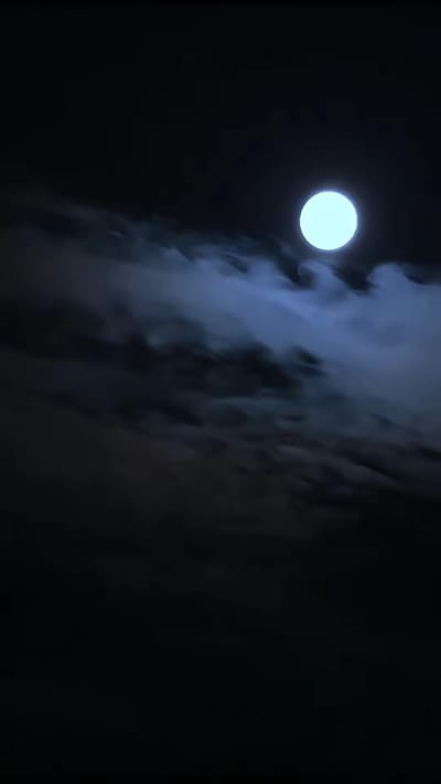 《石猫惊魂》剧照