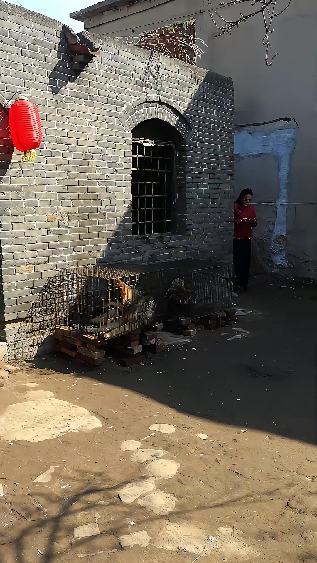 《血狼劫》劇照