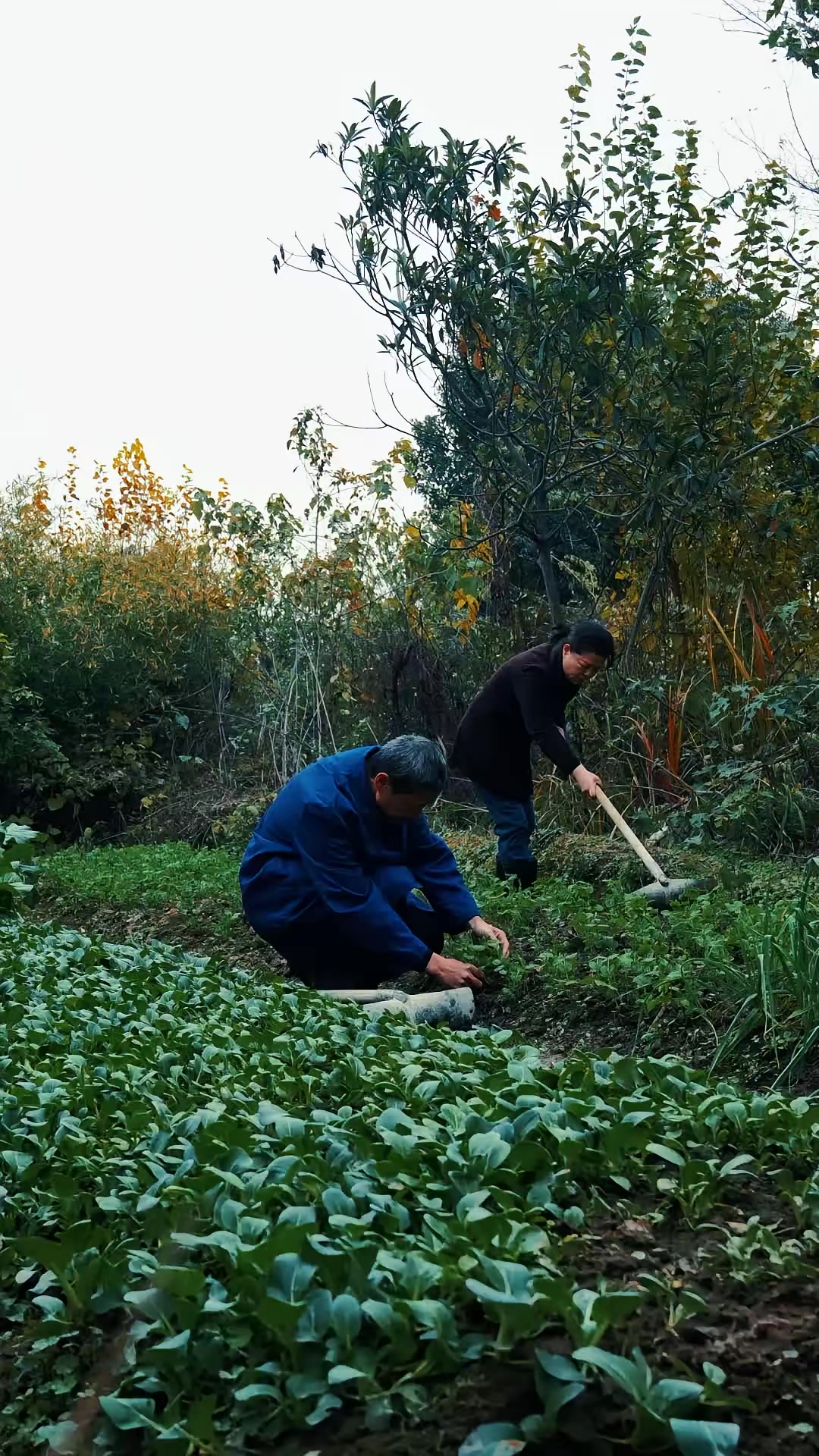 《为爱让步》剧照
