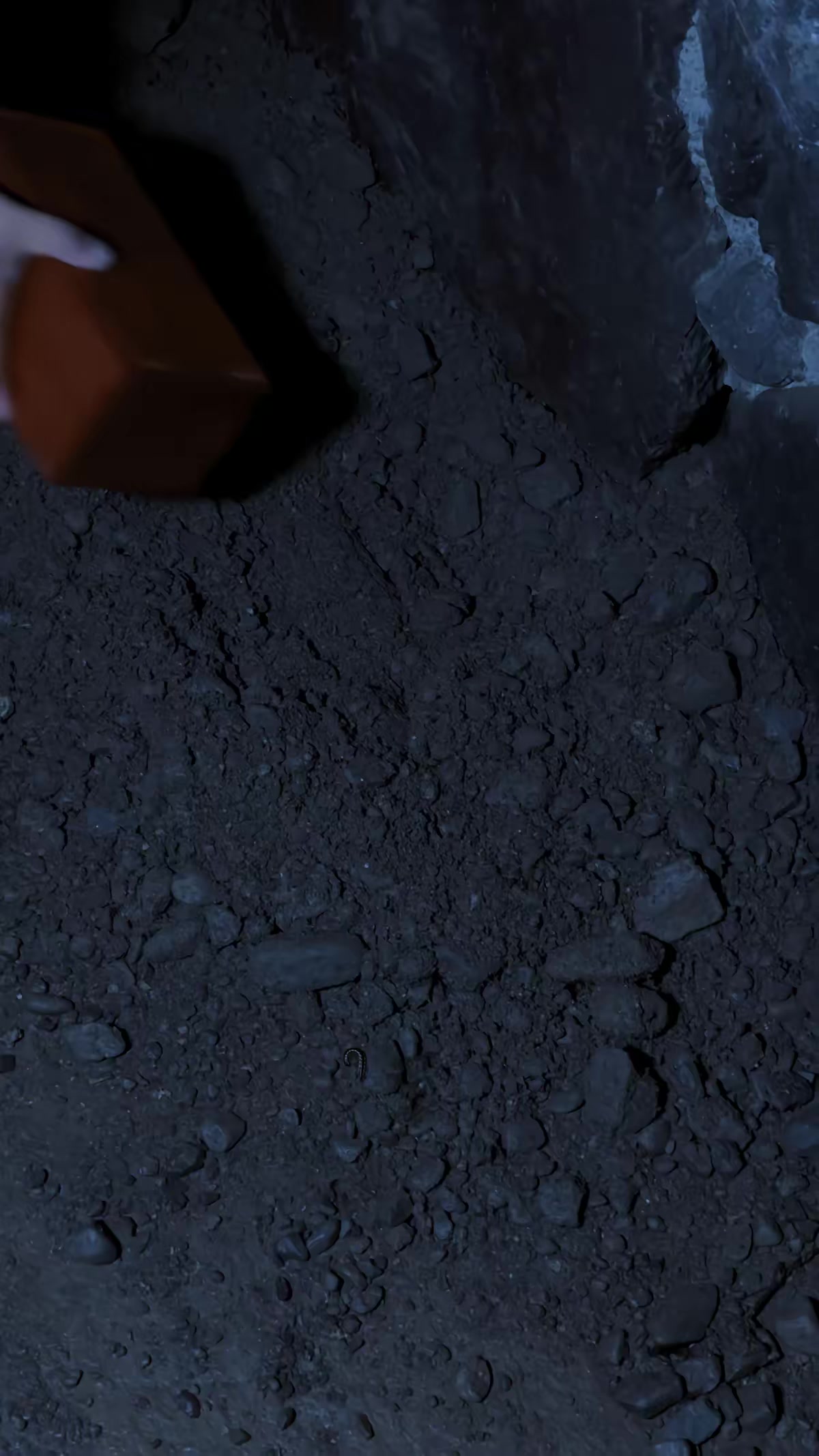 《兔怨》剧照