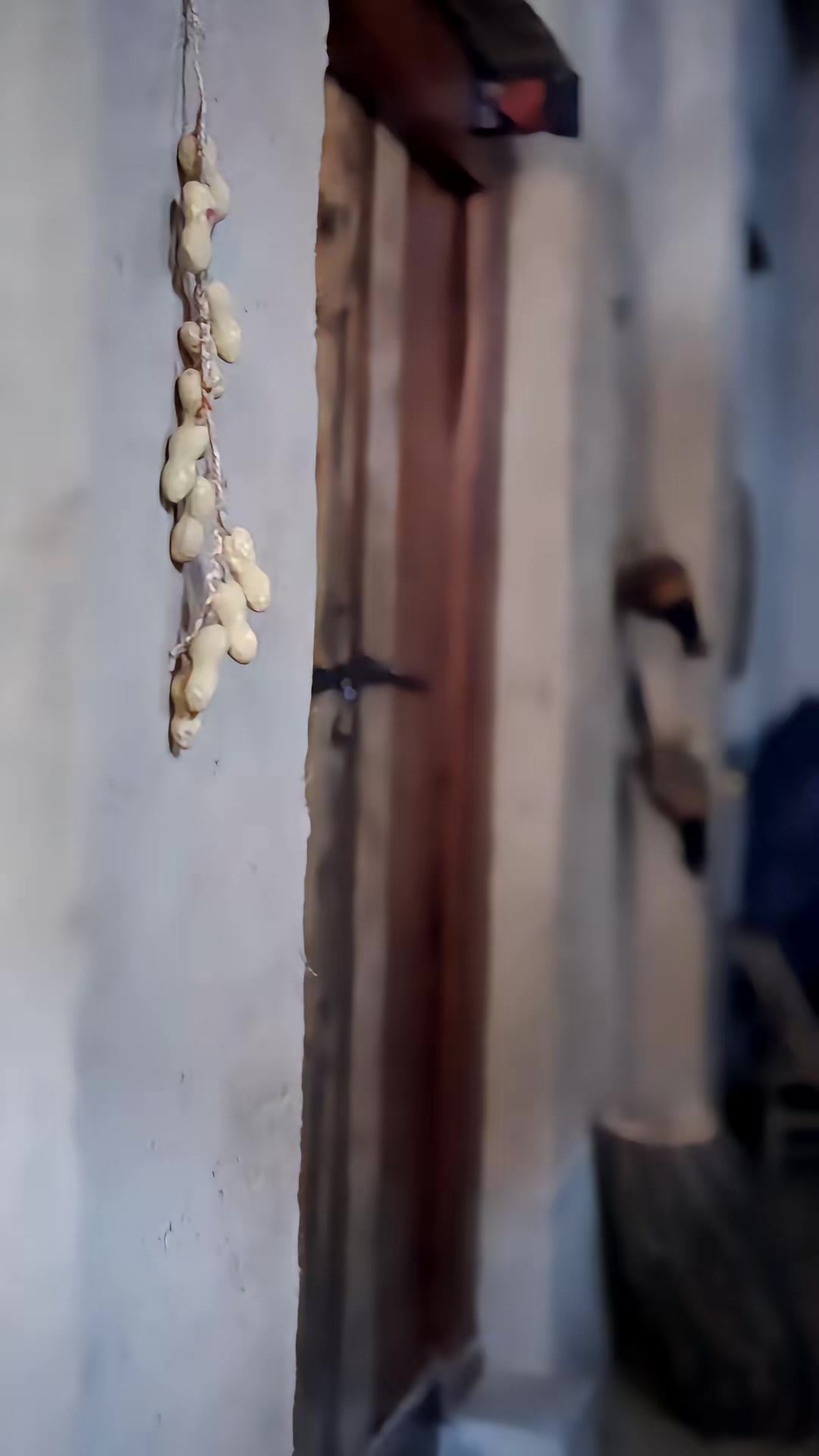 《人面熊危机》剧照