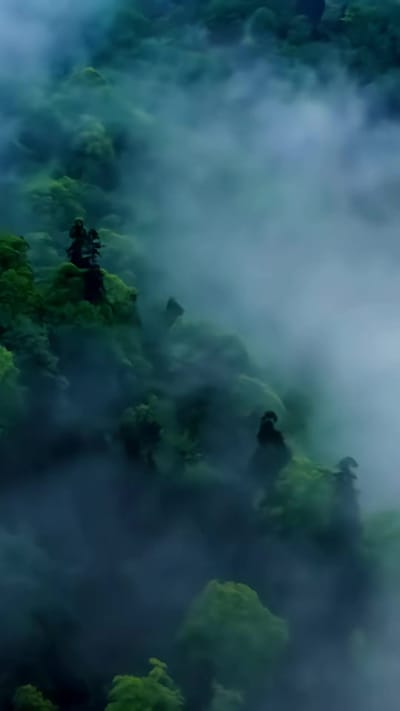 《白狐怨》劇照