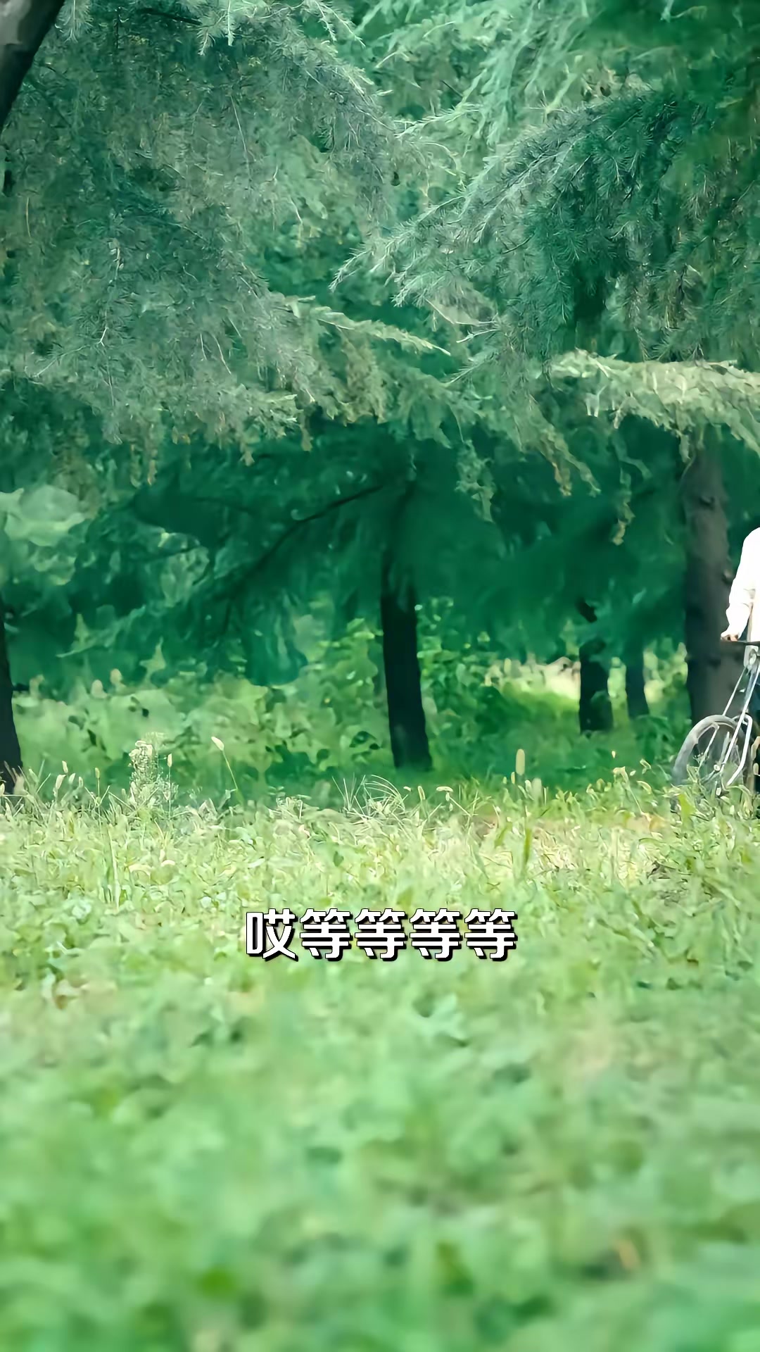《西北往事之我與我家第一季》劇照
