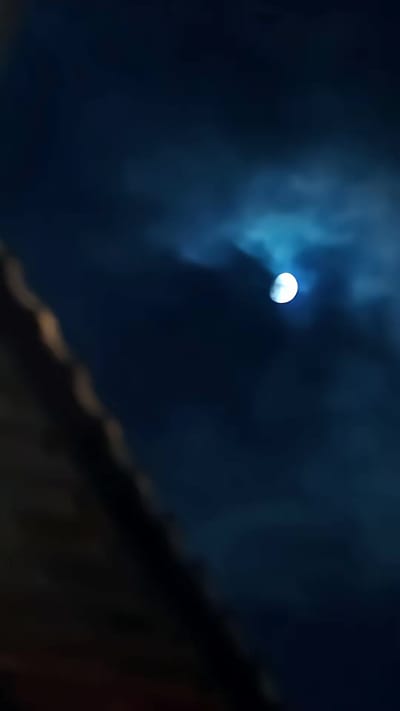 《穿成侯府老夫人！我一拖三救全家》剧照