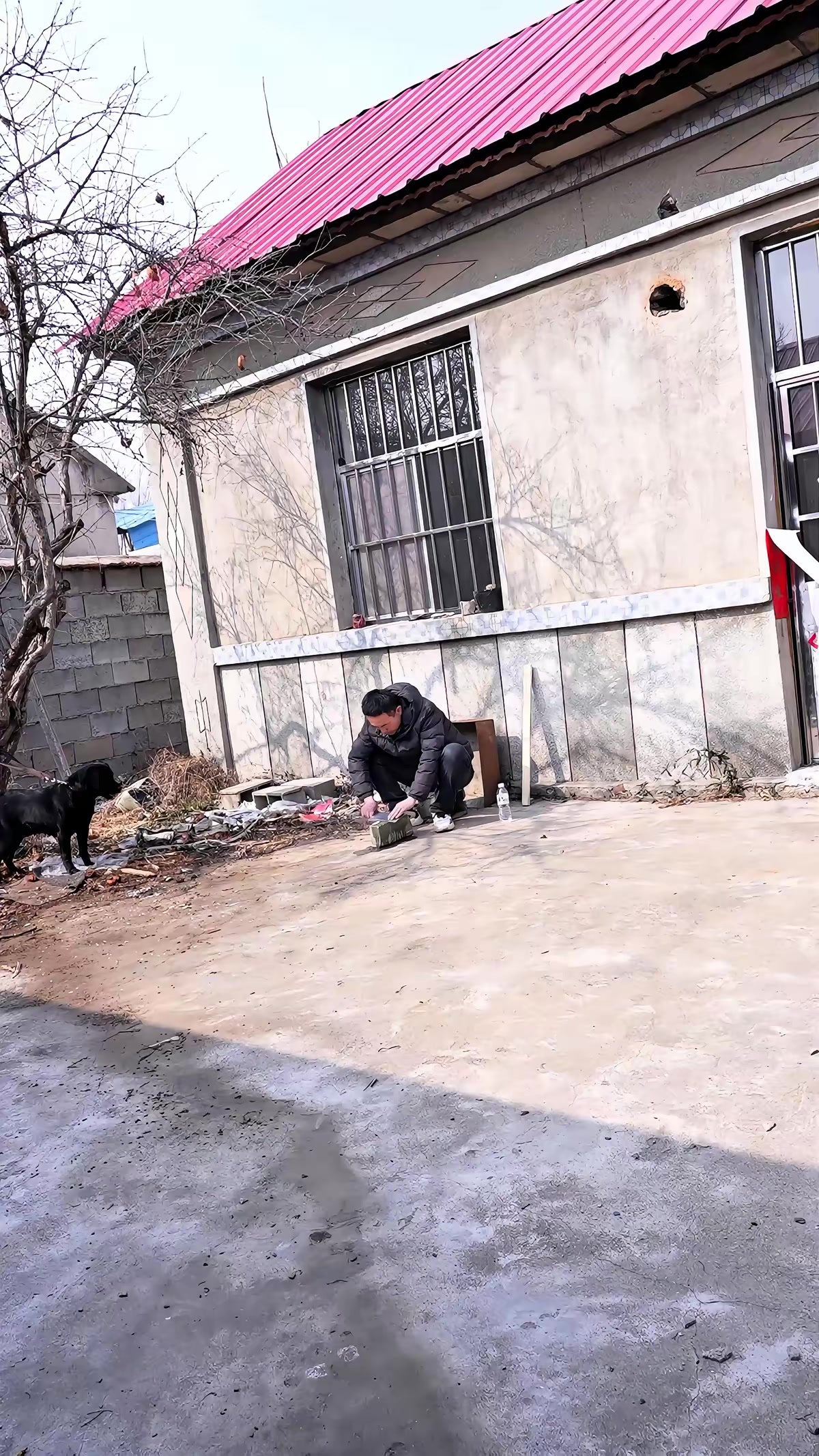 《神犬錘錘之緊急救援》劇照