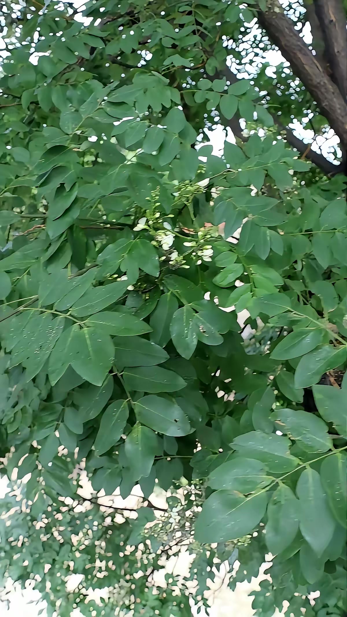 《面具驚魂》劇照