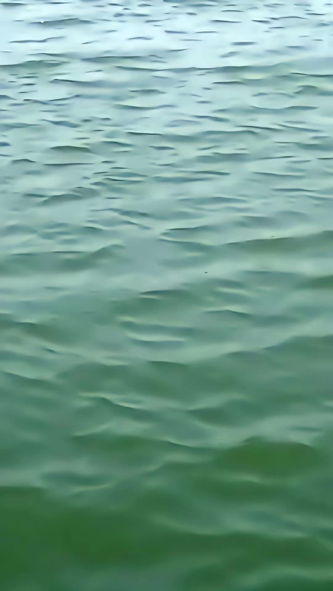《金剛大戰巨蟒》劇照