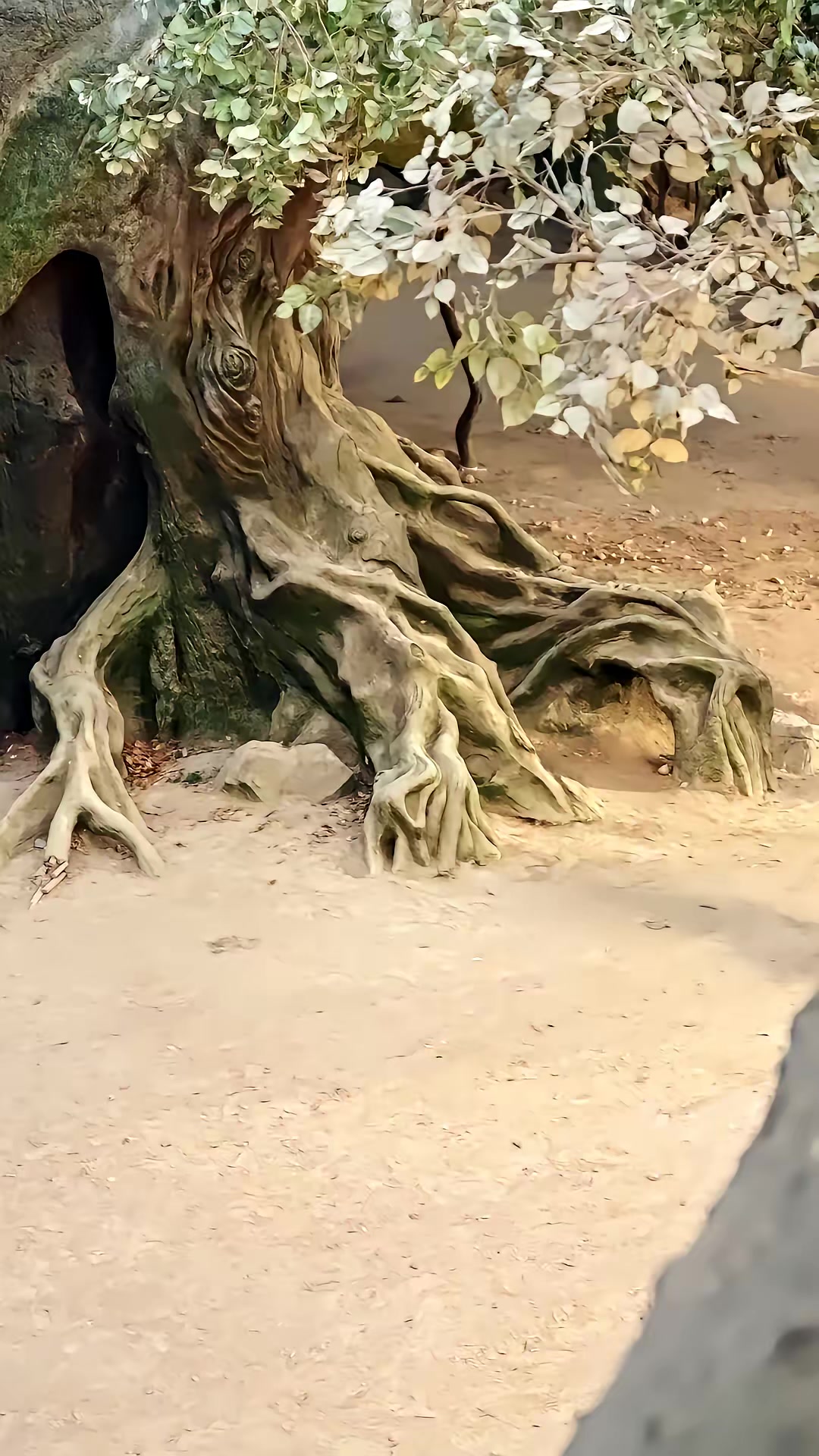 《我家娘子不可能是魔门女帝》剧照