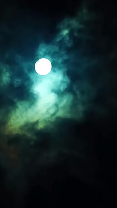 《禁地勿入》剧照