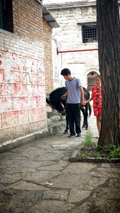 《驢皮債》劇照