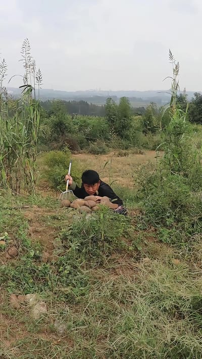 《蜜獾驚魂》劇照
