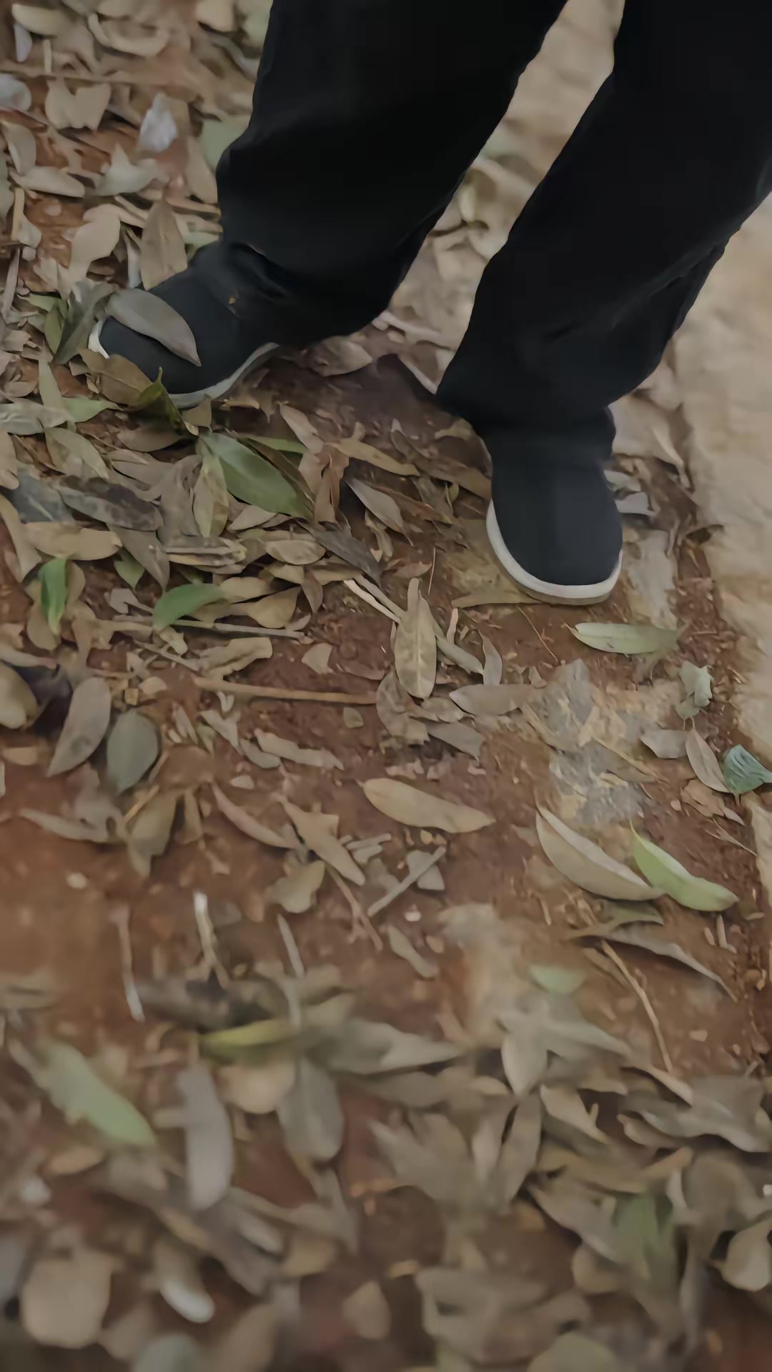《白狐怨》剧照