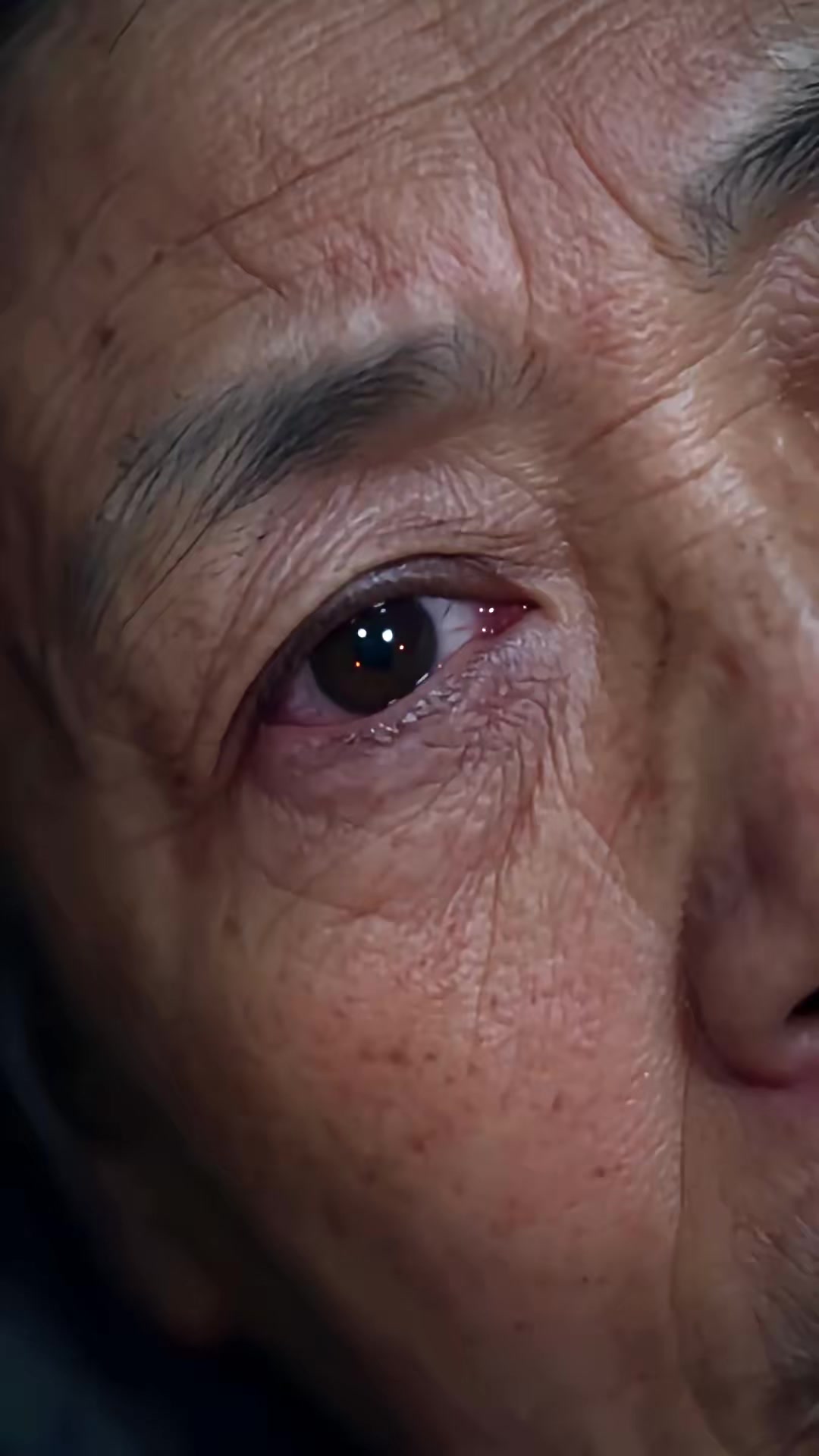 《分家没我份，破院枯井全是金条》剧照