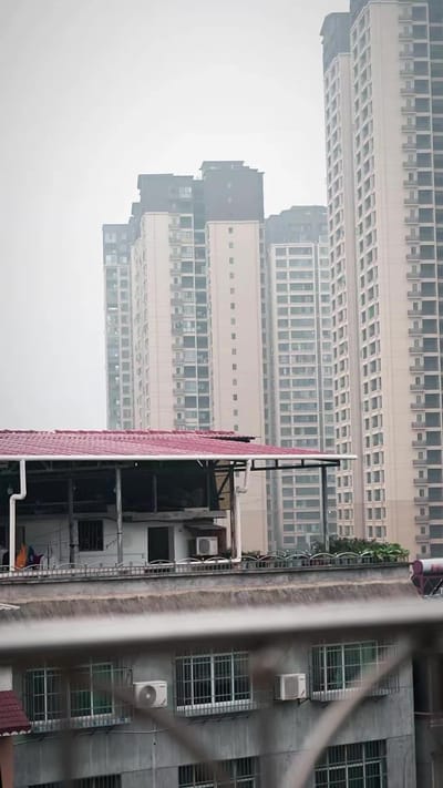 《迷途，黄昏》剧照