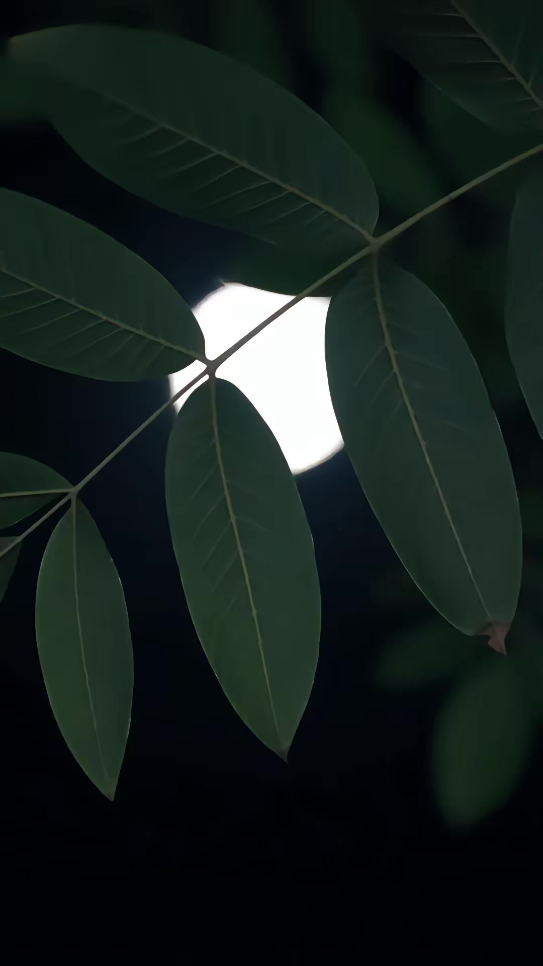 《只對她，上癮》劇照