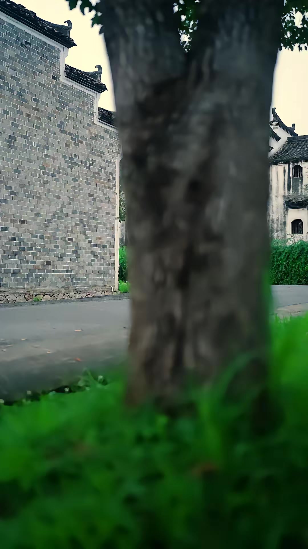 《迷局之義聚山河》劇照