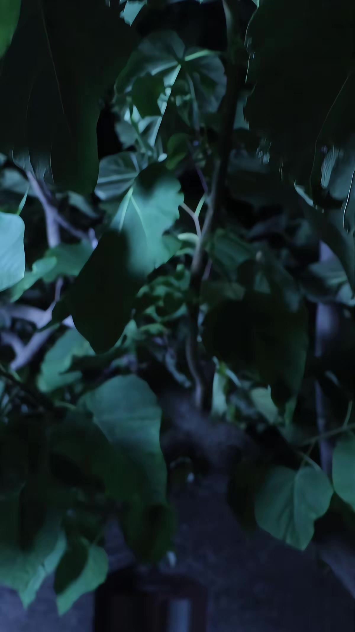 《面具惊魂》剧照
