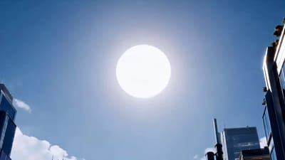 《全民御獸，從菜鳥返祖成金烏開始第二季》劇照