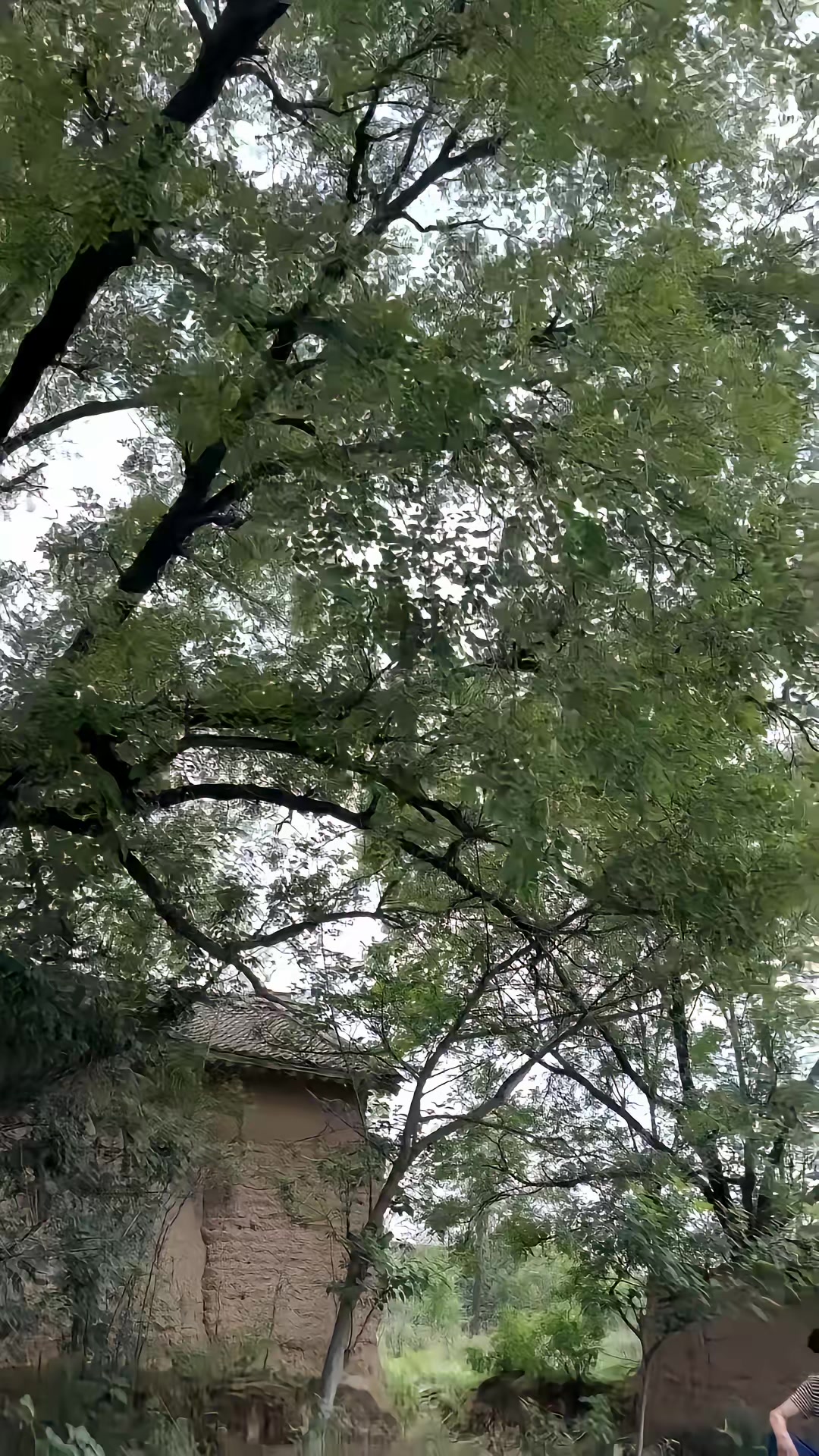 《向阳花》剧照