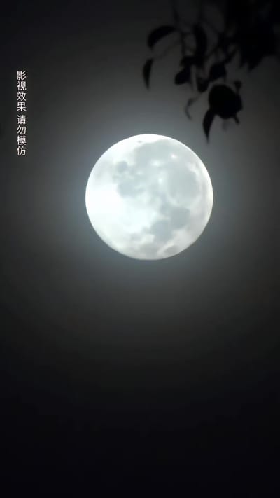《逃出緬北》劇照