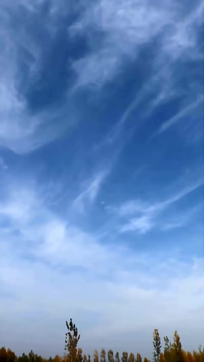 《血月詭鱔》劇照