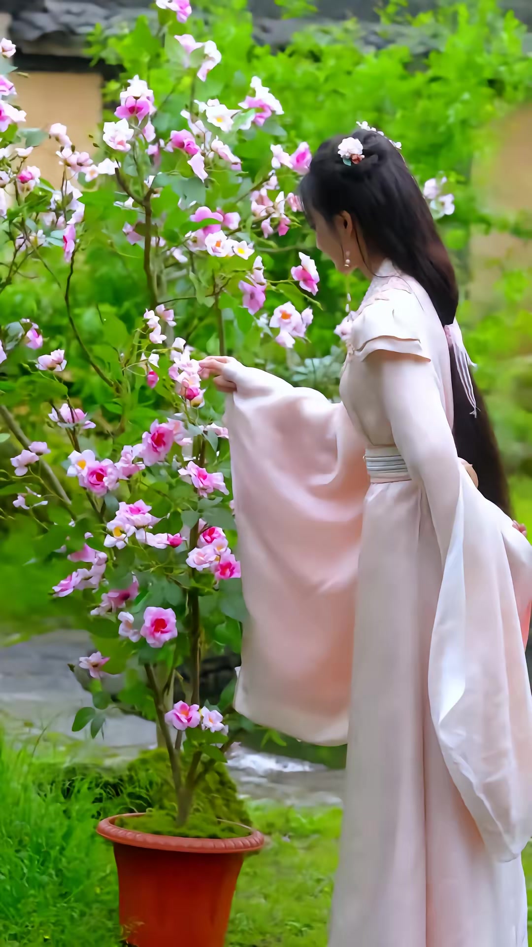 《花妖乱了时间线2：逆天改命三连击》剧照