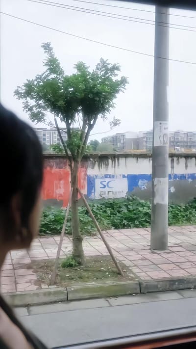 《她的备用联系人》剧照