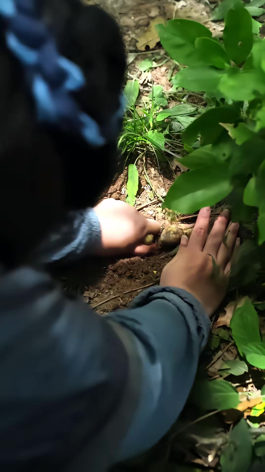 《暴躁辣媽，在線整頓家風》劇照
