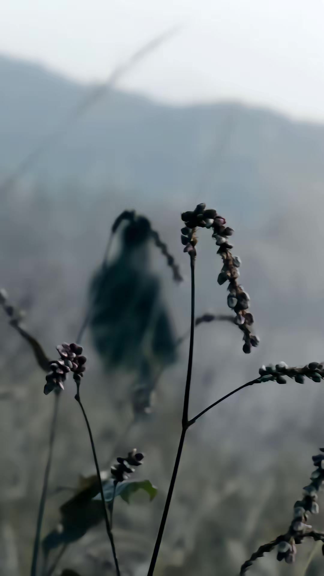 《陰影裡的嫌疑人》劇照
