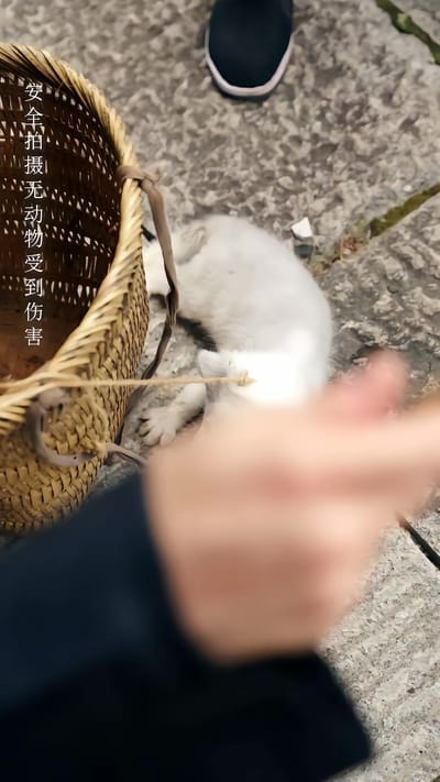 《狐劫》劇照
