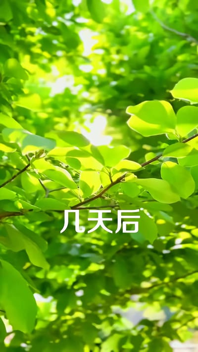 《致命offer》劇照