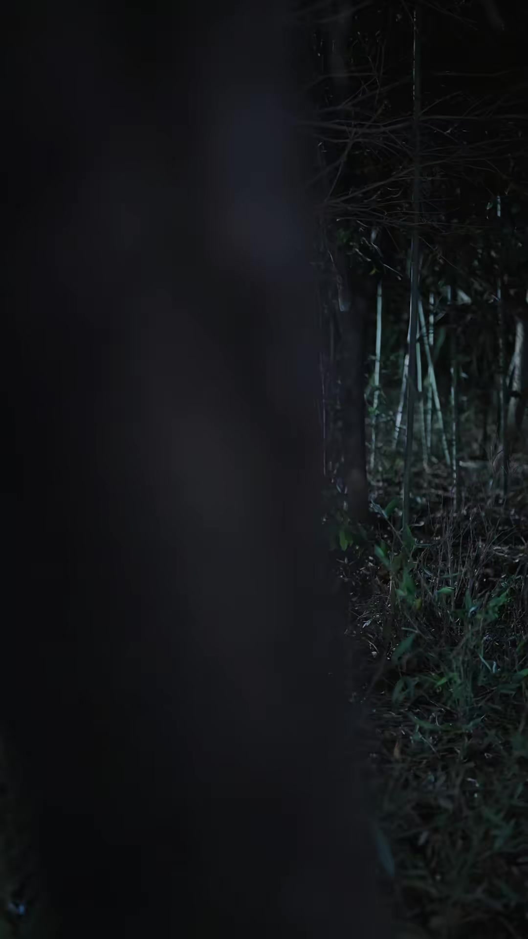 《白狐怨》剧照