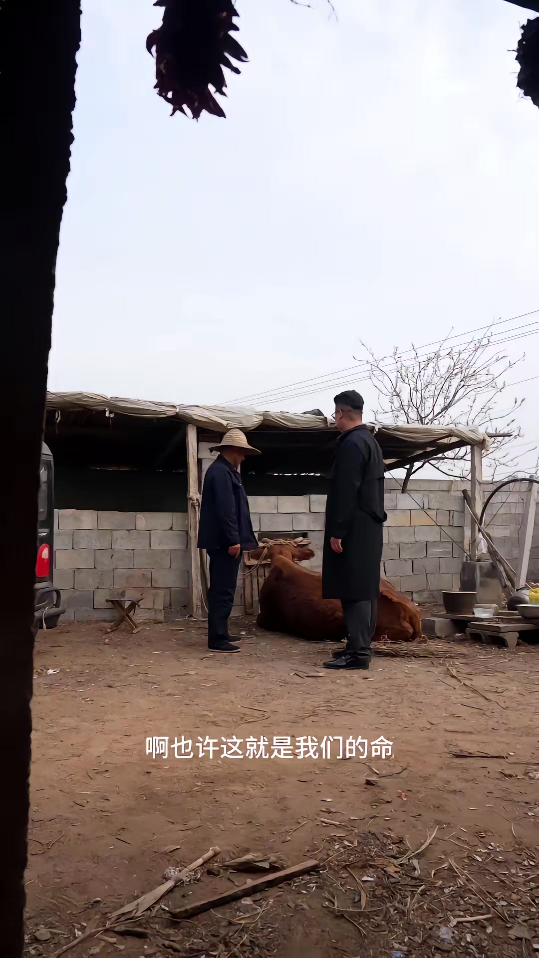 《別惹我的牛之它是牛魔王》劇照