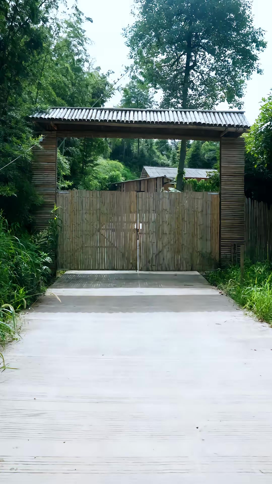 《白蛇咒》剧照
